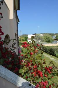 Zahrada ubytování Guest Rooms Affittacamere