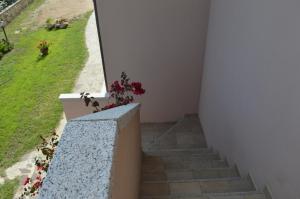 Zahrada ubytování Guest Rooms Affittacamere