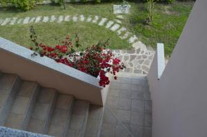 Zahrada ubytování Guest Rooms Affittacamere