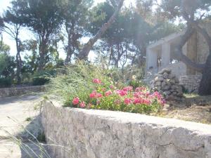 A garden outside Villa Aquarium