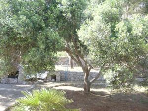 A garden outside Villa Aquarium