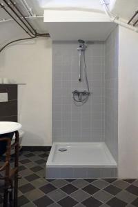 a bathroom with a shower and a bath tub at Fachwerkhaus Maximilian in Speyer +12 photos