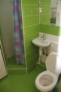 baño verde con aseo y lavamanos en Современная 1-комнатная квартира en Járkov