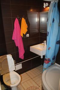 a bathroom with a toilet and a sink and a shower at Современная 1-комнатная квартира in Kharkiv