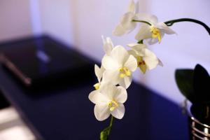 Fotografie z fotogalerie ubytování Hostal Averroes v destinaci Burgos