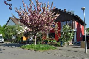 einen Baum mit rosa Blumen vor einem roten Gebäude in der Unterkunft Punkrock Harbour Pension Bähr in Karlsruhe