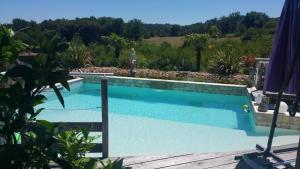 una gran piscina en un patio con en Gîte Chez EVA, en Le Buisson de Cadouin