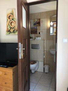 a bathroom with a toilet and a tv and a door at Ranczo Frodyma in Stronie Śląskie