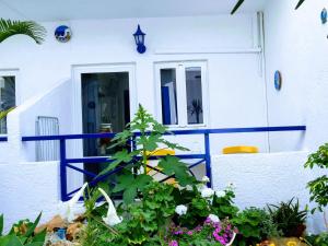 Vonkajšia záhrada v ubytovaní Psaras Apartments