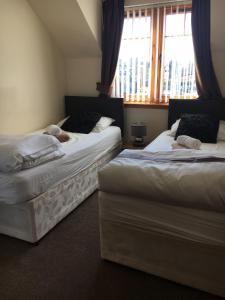 two beds sitting in a room with a window at Cairngorm Mountain View in Aviemore