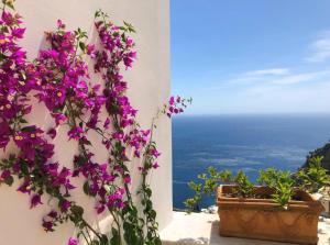 a bunch of purple flowers on the side of a building at Palazzo Marzoli charme Resort - Small Luxury Hotel in Positano