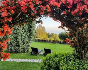 two chairs sitting in a garden with flowers at Bed and Breakfast Nefer in Maratea