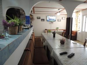 a restaurant with a long counter with plants on it at Pensiunea Iulia Sulina in Sulina