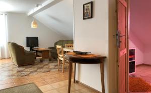 Et tv og/eller underholdning på Apartament Pod Kasztanami - ZIELONY