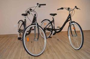 duas bicicletas estacionadas uma ao lado da outra num quarto em Alojamento Charme em Bombarral