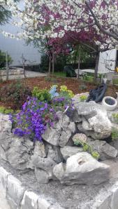 Zahrada ubytování Apartman Ivona