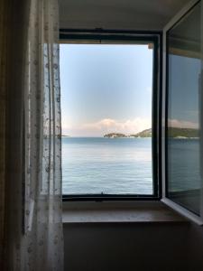 Příroda nedaleko apartmánu + 4 fotografie