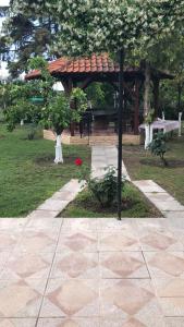 A garden outside Best summer vacation