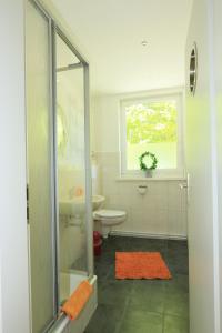 a bathroom with a shower and a toilet and a window at Feriendomizil Achtern Öwer in Lohme