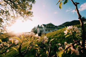 a house on a hill with flowers in the foreground at Gjerdset Turistsenter in Isfjorden