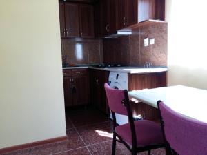 Kuchyň nebo kuchyňský kout v ubytování Guest house LIA + 17 fotografií