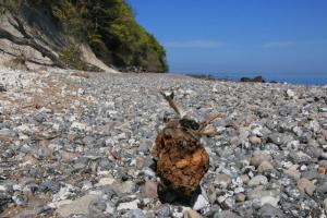 Gallery image of Feriendomizil Achtern Öwer in Lohme