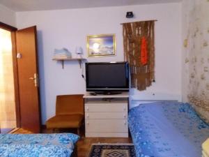 TV a/nebo společenská místnost v ubytování Apartment Ana