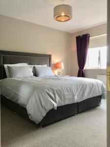 a bedroom with a large bed with a purple curtain at 13 Michael Street in Kilkenny