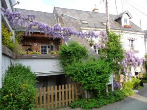 dom z fioletowymi wisteriami na boku w obiekcie Escale de Loire w mieście Chouzé-sur-Loire