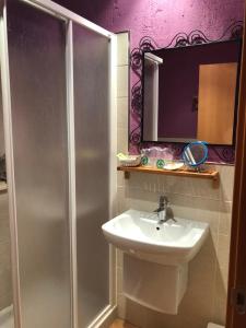 uma casa de banho com um chuveiro, um lavatório e um espelho. em Hotel CTR San Baudelio em Casillas de Berlanga