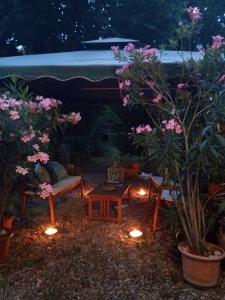 Zahrada ubytování B&B delle Arti