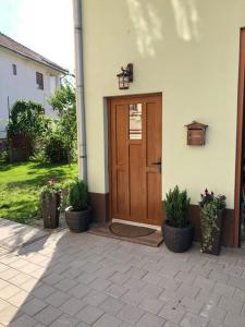 a wooden door of a house with two potted plants at Smiley Apartment in Sibiu