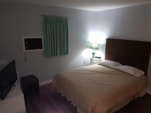 Postel nebo postele na pokoji v ubytování Pinecone Motel