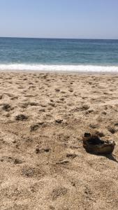 アランヤにあるIlgar Home 2の海辺の砂浜に腰掛けた靴