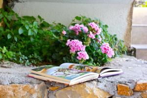 ein offenes Buch auf einem Felsen mit rosa Blumen in der Unterkunft Apartments Gran Sasso in Ulcinj