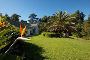Κήπος έξω από το Golden Hill Guest House +7 φωτογραφίες