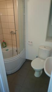 a bathroom with a toilet and a shower and a sink at Ostsee Ventspils in Ventspils