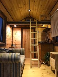 a living room with a loft bed in a cabin at Hilltop Tiny House in Tallarook