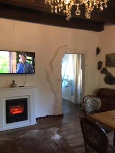 a living room with a tv and a fireplace at Appartement Donaustrand in Bergern