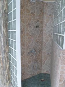 a shower in a bathroom with a stone wall at Anilio Plaza in Zakharo