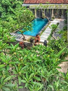 a swimming pool in front of a house at Ayu Bungalow 2 in Ubud