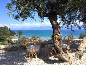two chairs and a table under a tree at Vista Petros in Apraos