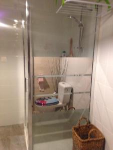 ein Bad mit Dusche und WC in der Unterkunft cosy logement à la campagne in Marthille