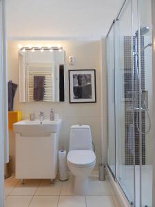 La salle de bains est pourvue de toilettes, d'un lavabo et d'une douche. dans l'établissement Hello Downtown Apartment - Broadway, à Budapest