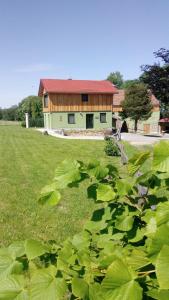 ein großes grünes Feld mit einem Haus im Hintergrund in der Unterkunft Ferienhaus Sobetzko in Wilthen