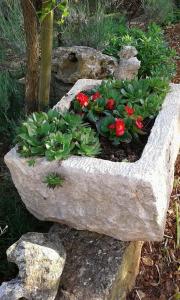 a stone planter with red flowers and plants in it at Apartment Tijano in Krnica