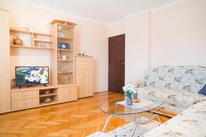 a living room with a couch and a tv at Apartment Ante in Slunj