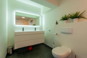 a bathroom with a toilet and a sink and a mirror at Seaview Zeebrugge in Zeebrugge