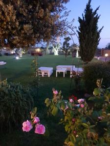 Zahrada ubytování Elegance B&B