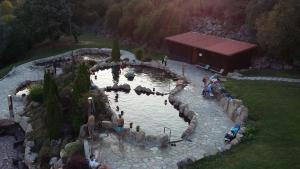 a group of people standing around a pond with animals in it at A Lareira De Allariz in Allariz